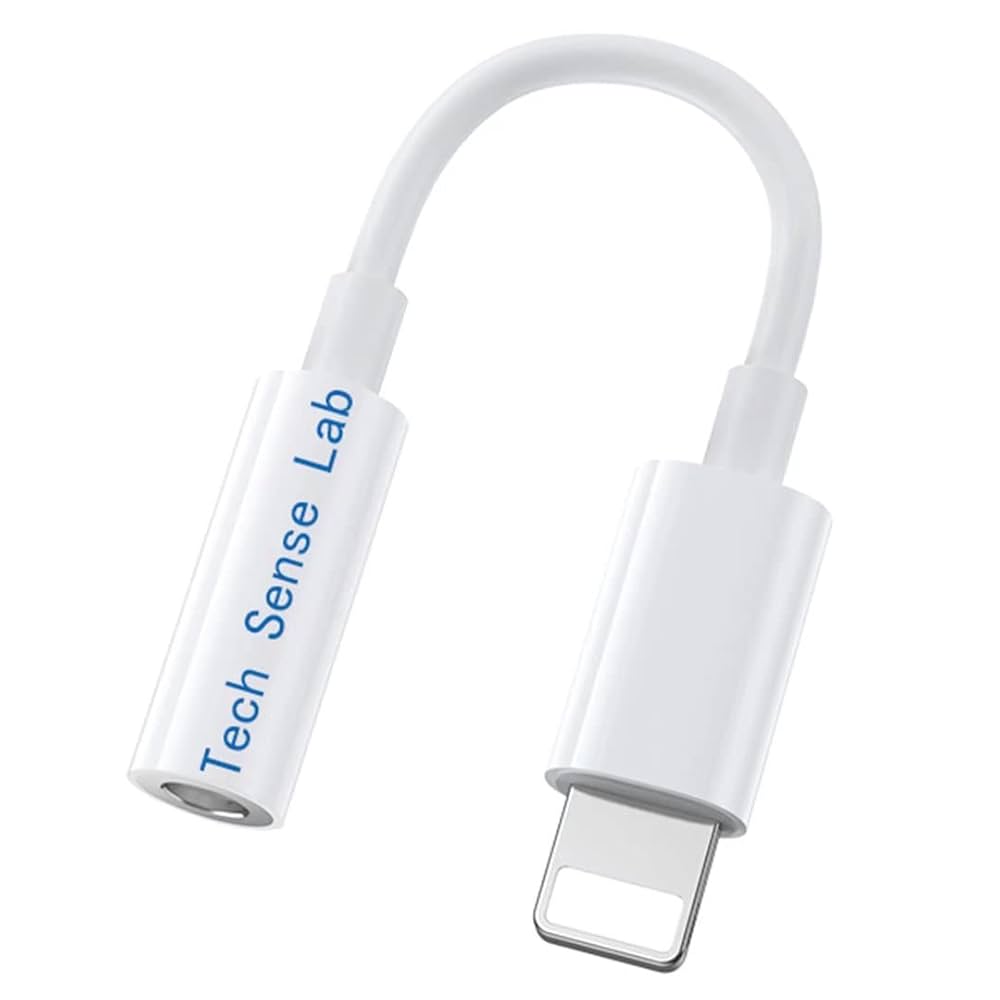 Panasonic パナソニック NV-GS500 MiniDV対応 「6192